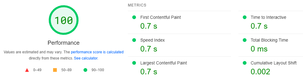 Google site speed test showing 100%